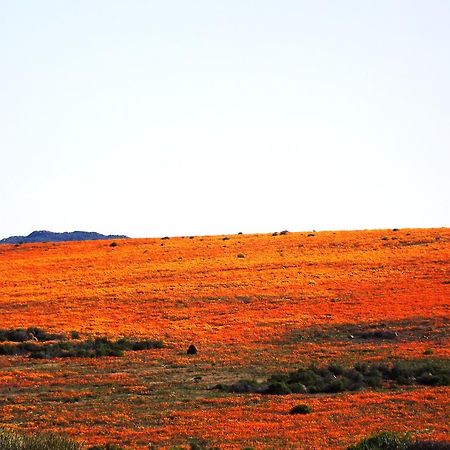 Verbe Farm Accommodation Kamieskroon Dış mekan fotoğraf