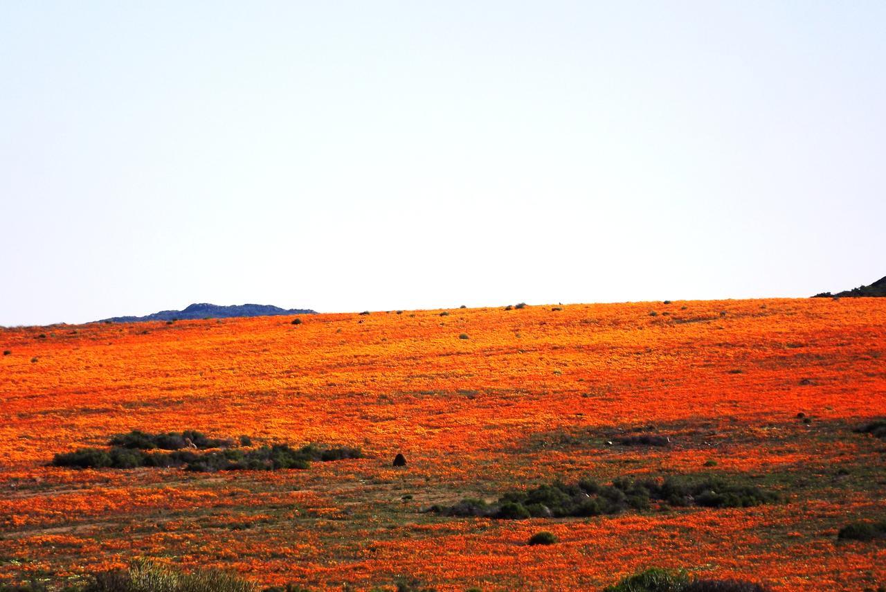 Verbe Farm Accommodation Kamieskroon Dış mekan fotoğraf